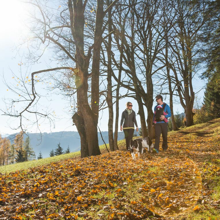 Wandern - Sommerurlaub in Werfen, Salzburger Land